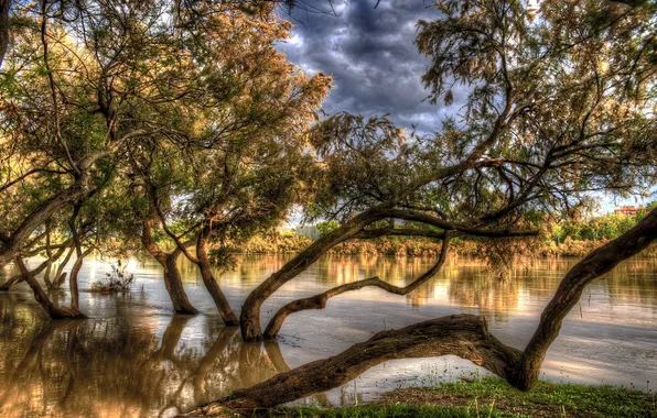 Picture autumn, trees, river, HDR, Spain, in the water, Zaragoza, Aragon