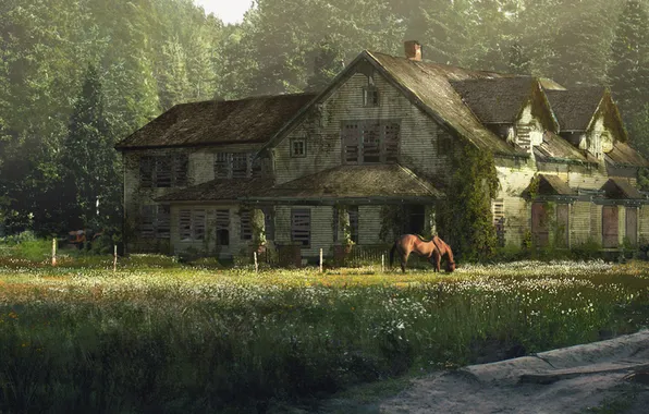Picture forest, house, horse, mansion, Some of us, The Last Of Us