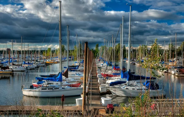 Picture FOREST, MARINA, The SKY, CLOUDS, PIER, PIERCE, MAST, CLOUDS