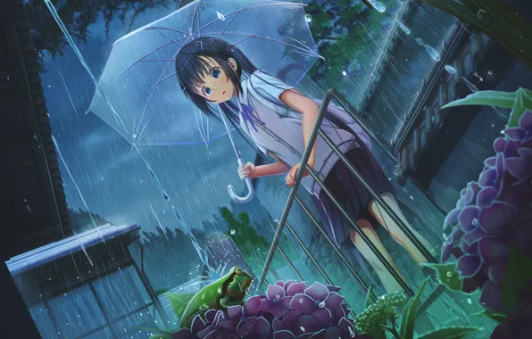 Flowers, rain, frog, umbrella, girl, railings, flowerbed, the shower