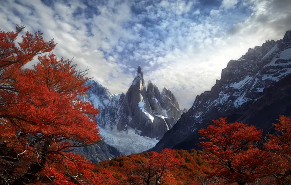 Autumn, forest, mountains, Andes