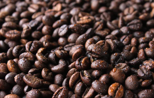 Drops, coffee, water drops, coffee bean, coffee drops, coffee after the rain