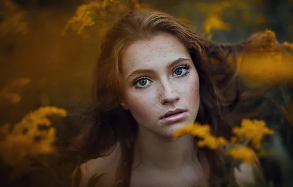 Eyes, face, portrait, freckles, red, Jesse Duke