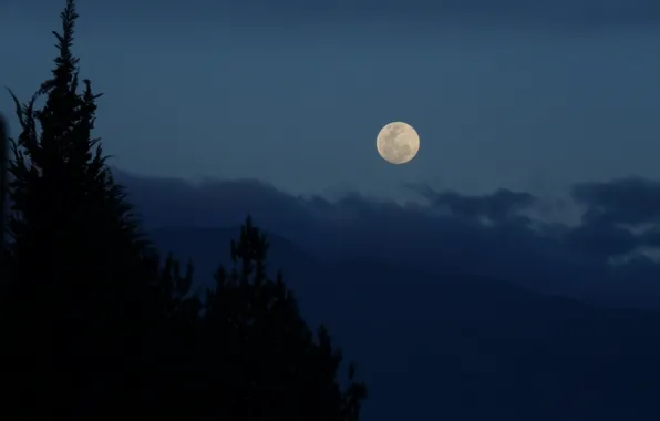 Picture the sky, trees, mountains, nature, the moon, the evening, the full moon