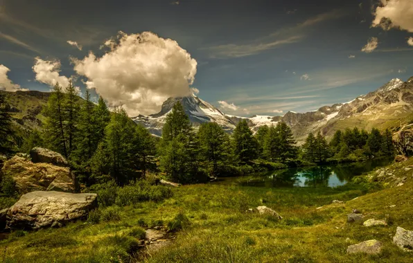 Forest, the sky, grass, clouds, trees, mountains, lake, stones