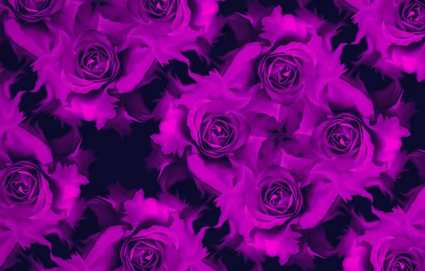 Flowers, reflection, collage, roses, petals, buds