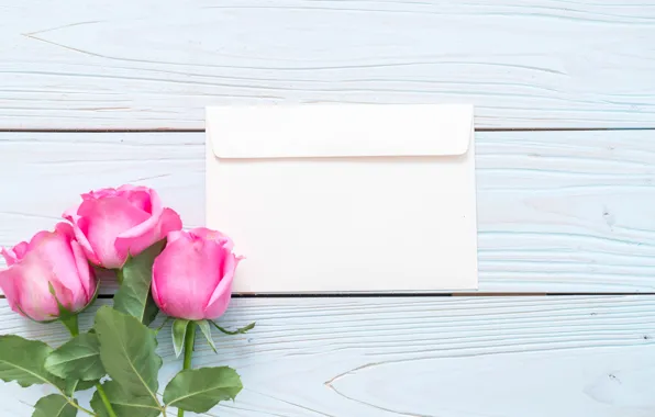 Flowers, roses, pink, fresh, wood, pink, flowers, roses