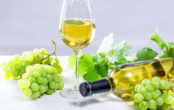 Picture photo, Bottle, Glasses, Wine, Grapes, Food