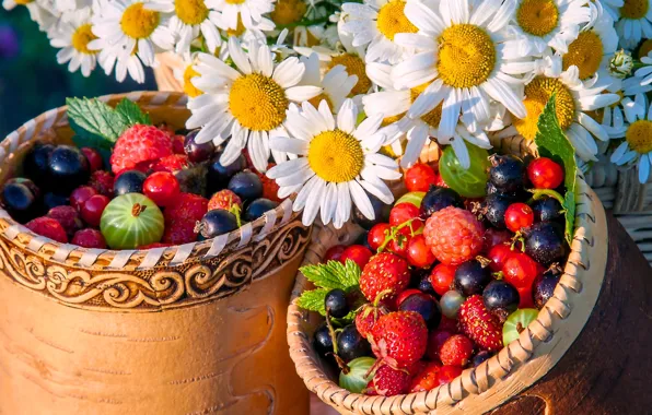 Picture flowers, berries, chamomile, thesky