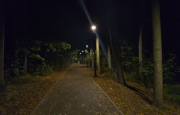 Road, forest, trees, night, lights, Moscow, Russia, Artem