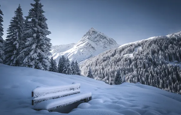 Winter, forest, snow, trees, mountains, bench, Austria, ate