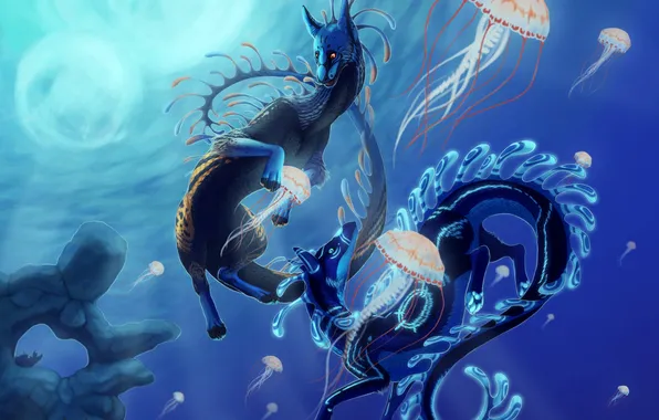 Fish, jellyfish, creatures, underwater world