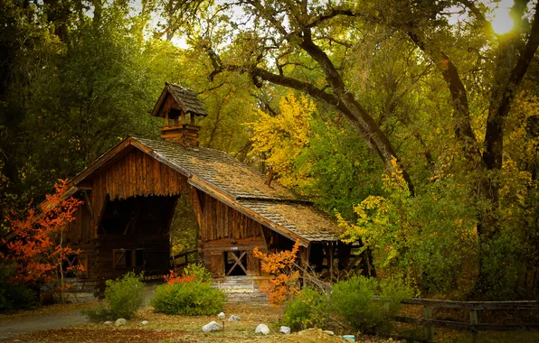 Picture autumn, forest, trees, bridge, nature, construction, the barn