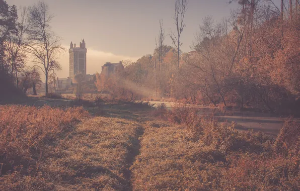 Picture autumn, forest, the sun, fog, river, castle, tower