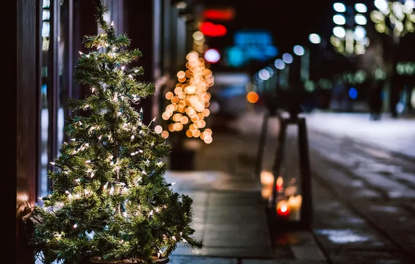 Winter, light, night, branches, the city, lights, street, tree