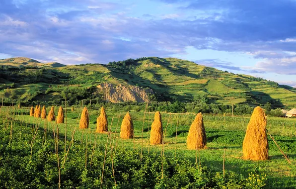 Field, the sky, clouds, mountains, hills, hay, MOP