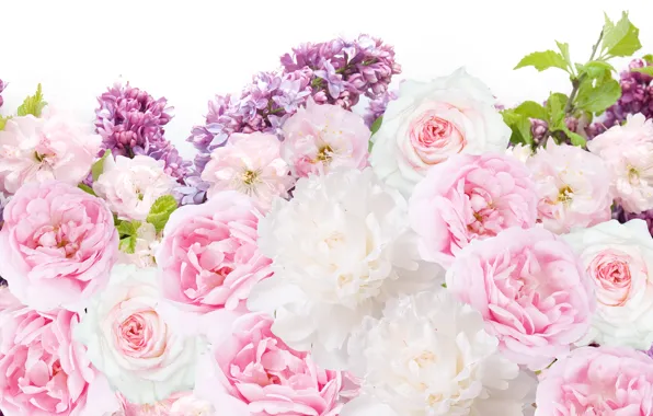 Picture flowers, roses, lilac, peonies