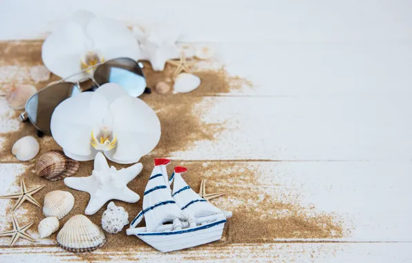 White, flowers, background, shell, boat, orchids, Olena Rudo