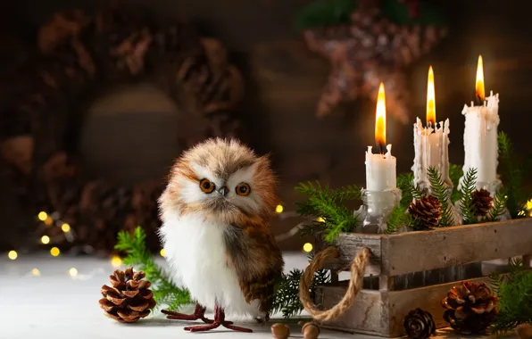 Candles, New year, composition, owlet, Svetlana Kolpakova