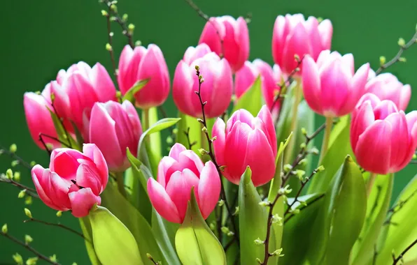 Flowers, bright, bouquet, spring, tulips, pink