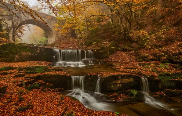 Picture waterfall, reddish colors, leaves, forest, autumn