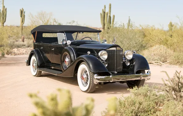 Retro, black, desert, cacti, the front, Touring, Twelve, Packard