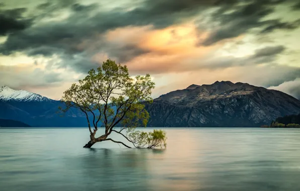 Picture mountains, lake, tree