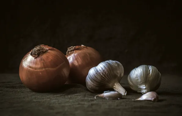 Picture bow, still life, garlic