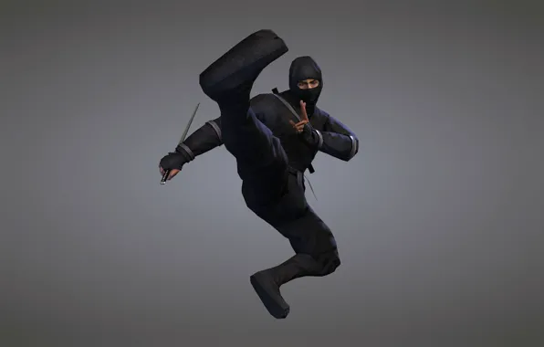 Weapons, sword, ninja, blade, ninja, black suit