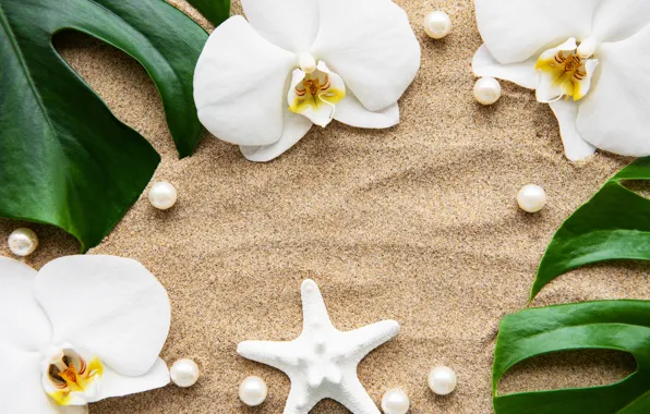 Sand, leaves, flowers, white, Orchid, flowers, sand, orchid