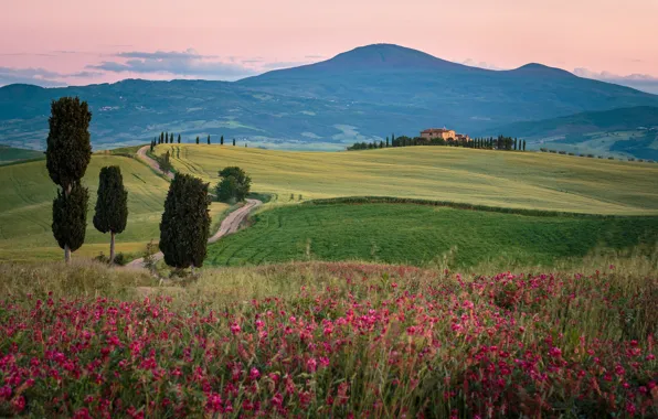 Picture spring, Italy, Tuscany, Val d'orcia