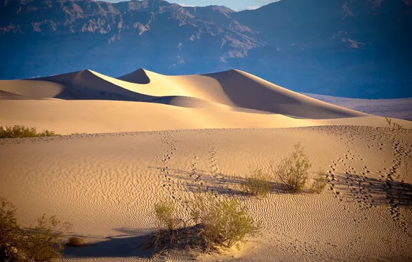Picture desert, dunes, California, list, Stove Pipe Wells