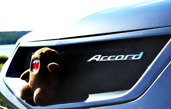 Summer, the inscription, heat, Light, Honda, the reshotka river canal,, Accord 8, Domokun