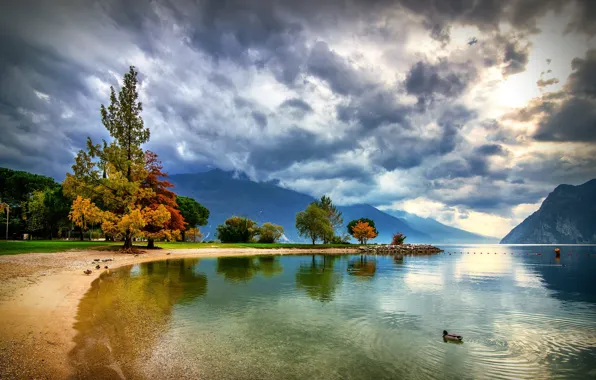 Trees, landscape, mountains, clouds, nature, lake, shore, duck