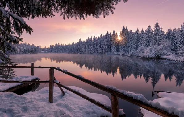 Picture winter, forest, the sun, snow, sunset, branches, reflection, the fence