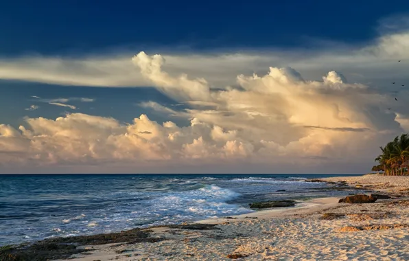 Sand, sea, wave, beach, clouds, palm trees, the wind