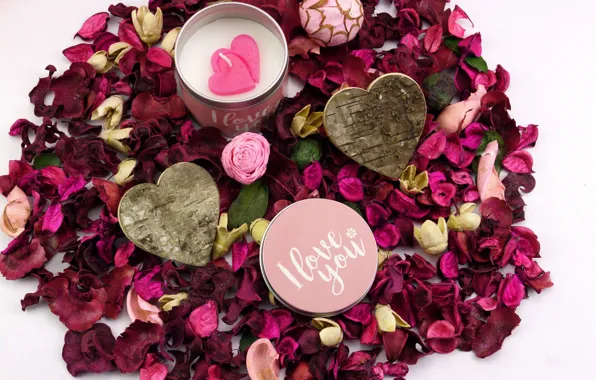 Love, holiday, candle, hearts, rose petals, Valentine's day