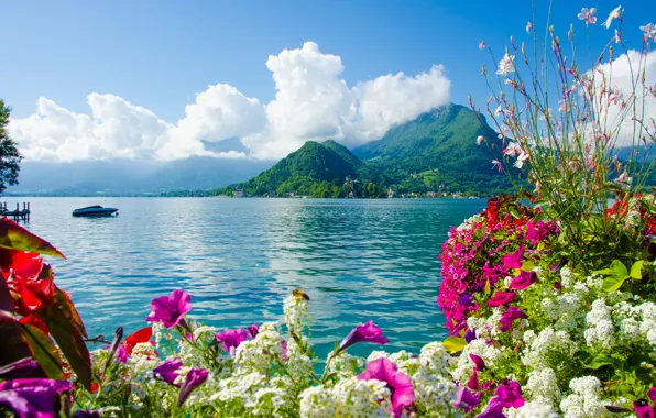 Picture sea, the sky, clouds, flowers, mountains, nature, boat