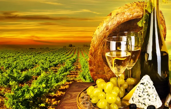 Field, the sky, the sun, landscape, sunset, table, wine, bottle