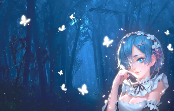Picture forest, girl, night, butterfly, art