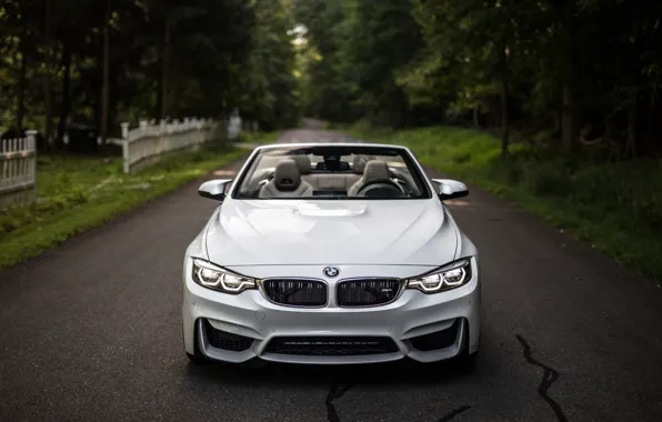 BMW, Lights, White, Convertible, Face, F83, Adaptive LED