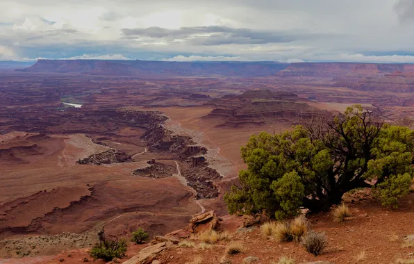 The sky, clouds, mountains, tree, rocks, desert, view, height