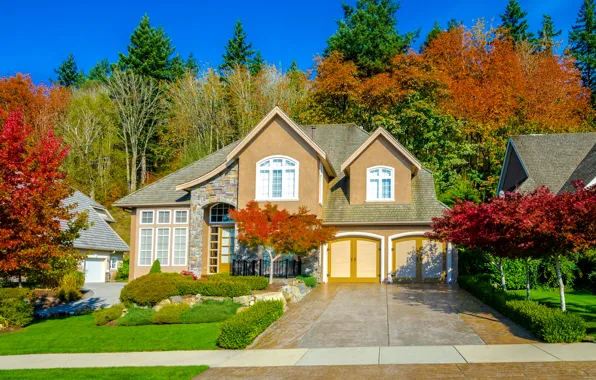 Autumn, trees, cottage