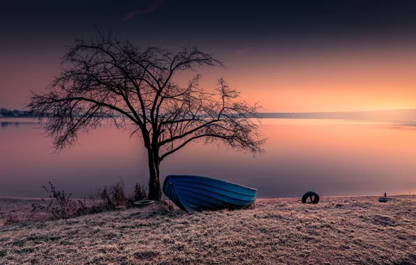 Picture frost, landscape, nature, lake, tree, dawn, shore, boat