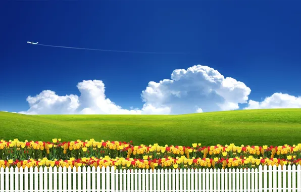 The sky, grass, clouds, flowers, nature, the plane, the fence, meadow