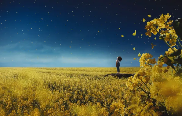 Field, the sky, dream, clouds, butterfly, flowers, pose, blue