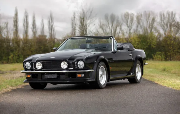 Black, British Car, Aston Martin V8 Vantage Volante