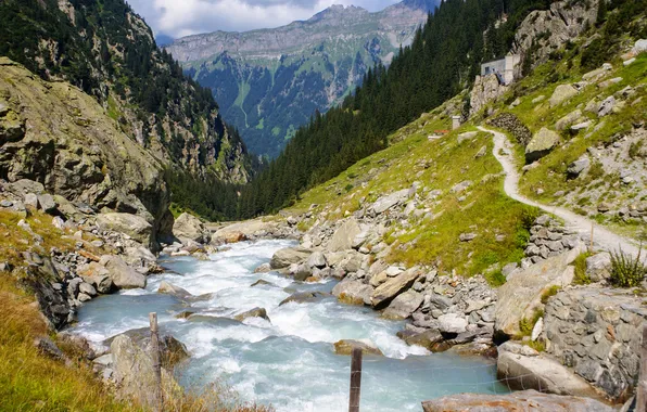 Trees, mountains, nature, river, stream