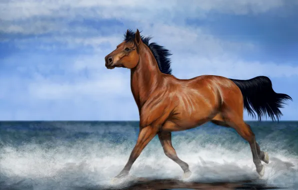 Picture sea, the sky, look, water, clouds, squirt, horse, art