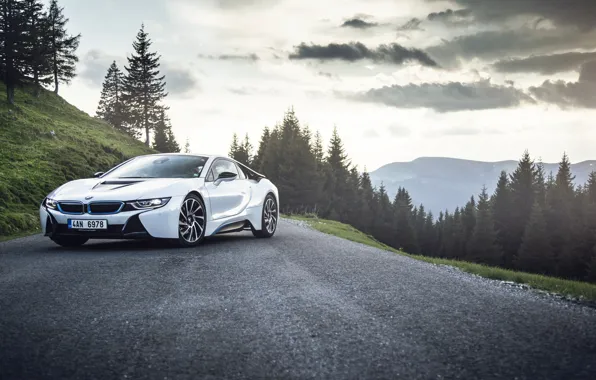 Picture car, machine, auto, BMW, Romania, Carpatian Mountains